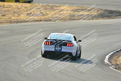 media/Feb-01-2025-Turn8 Trackdays (Sat) [[5681b0f63a]]/Inter 2/Session 1 (Turns 4b and 5)/